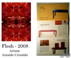 FLESH - Instalación de Arnaldo Cristaldo - Año 2008